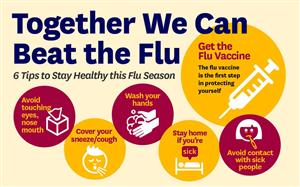 flu 