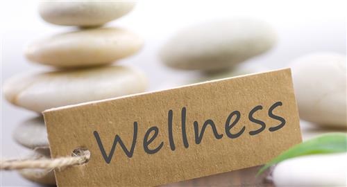 Wellness image